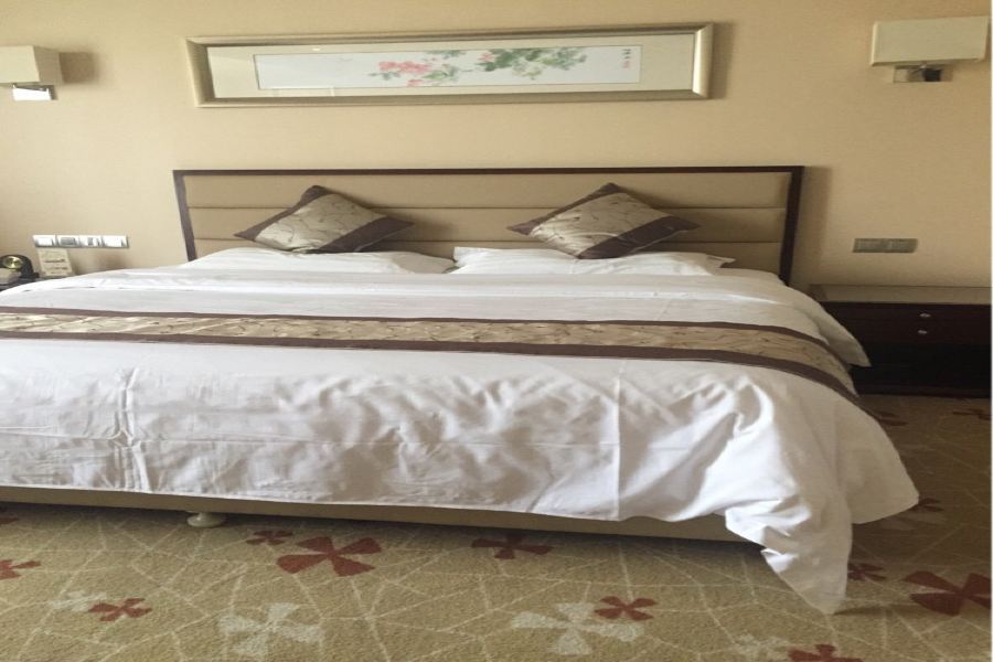 Arcadia International Hotel Cangzhou Extérieur photo