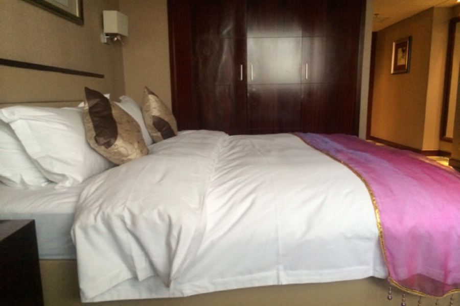 Arcadia International Hotel Cangzhou Extérieur photo
